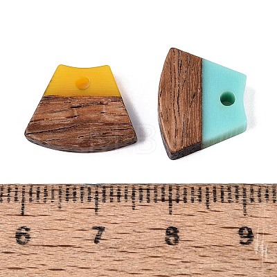 Opaque & Transparent Resin & Walnut Wood Pendants RESI-N053-34-1