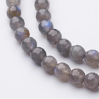 Natural Labradorite Bead Strands G-G947-05-6mm-1