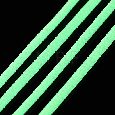 Luminous Polyester Braided Cords OCOR-T015-01I-1