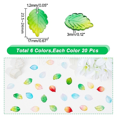 120Pcs 6 Colors Glass Beads GLAA-AR0001-35-1