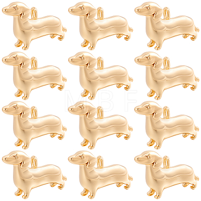 12Pcs Brass Charms KK-BBC0028-31-1