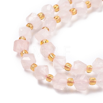 Natural Rose Quartz Beads Strands G-P463-44-1