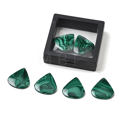 Natural Malachite Cabochons GG-CBA78D8-02-1