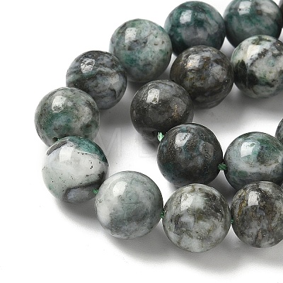 Natural Dioptase Beads Strands G-D302-02-10mm-1