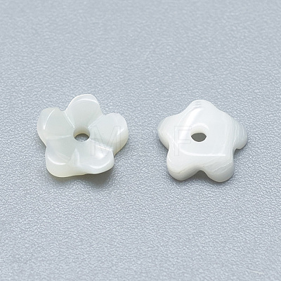 Natural White Shell Beads SSHEL-S260-053-1