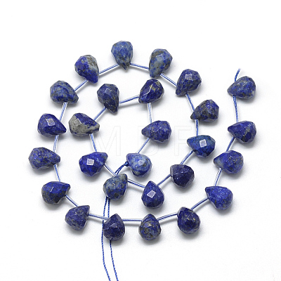 Natural Lapis Lazuli Beads Strands G-R435-15D-1