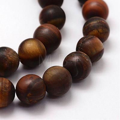 Frosted Natural Tiger Eye Beads Strands G-F364-18-10mm-1