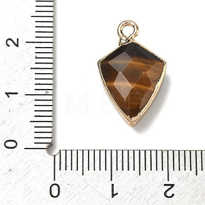 Natural Tiger Eye Pendants G-K422-01G-08-1