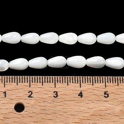 Natural White Shell Beads Strands SH-CBAF49A-03-1