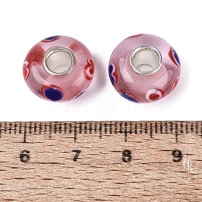 Handmade Lampwork & Brass Core European Beads LS-LAMP-N044-05S-01-1
