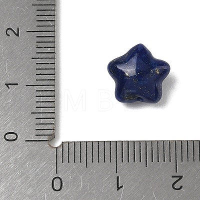 Natural Lapis Lazuli Beads G-T149-01F-1