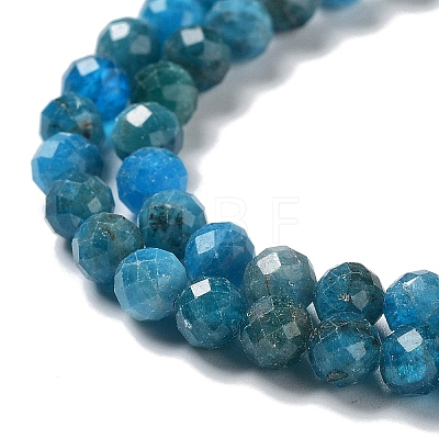 Natural Apatite Beads Strands G-J400-E01-05-1
