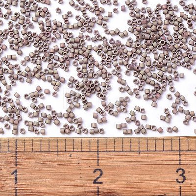 MIYUKI Delica Beads SEED-MY11-DB1061-1