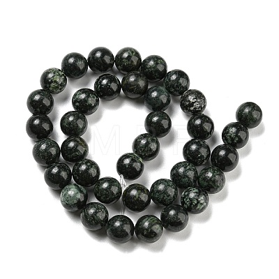 Natural Serpentine Beads Strands G-P504-10mm-01-1