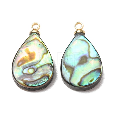 Natural Abalone Shell Pendants SH-CJC0AC7-01B-G-1