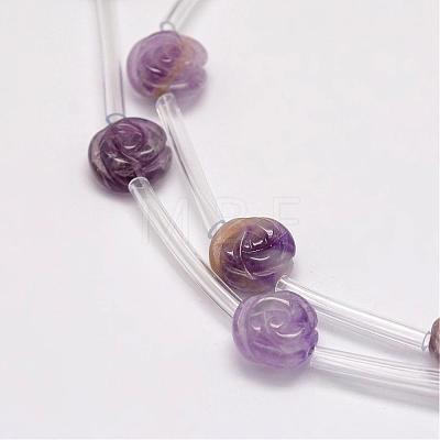 Natural Amethyst Beads G-O156-B-14-1