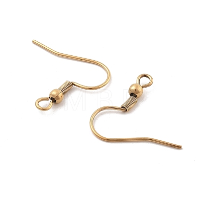 316 Surgical Stainless Steel Earring Hooks X-STAS-M288-06G-B-1