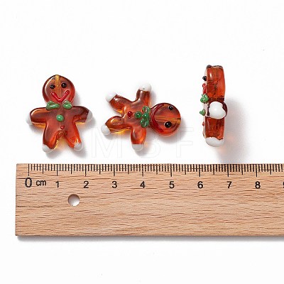 Handmade Lampwork Beads Strands LAMP-N021-025-1