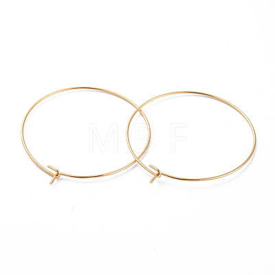 316 Surgical Stainless Steel Hoop Earring Findings LS-STAS-J025-01E-G-1