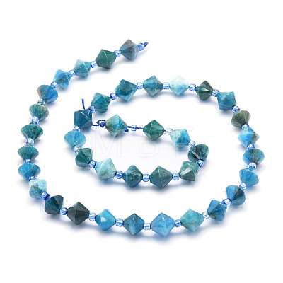 Natural Apatite Beads Strands G-E569-C03-1