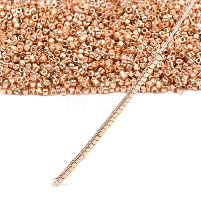MIYUKI Delica Beads X-SEED-J020-DB2518-1
