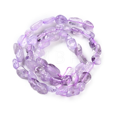 Natural Amethyst(Dyed & Heated) Beads Strands G-P497-01C-47-1