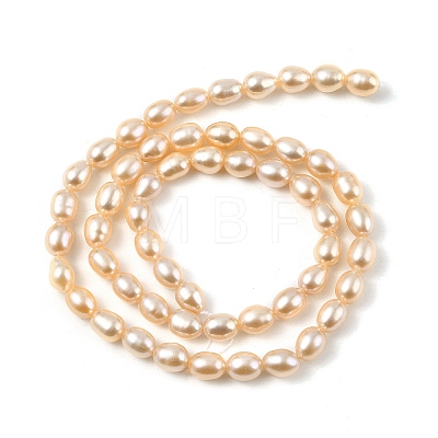 Natural Cultured Freshwater Pearl Beads Strands PEAR-I007-01A-03B-1