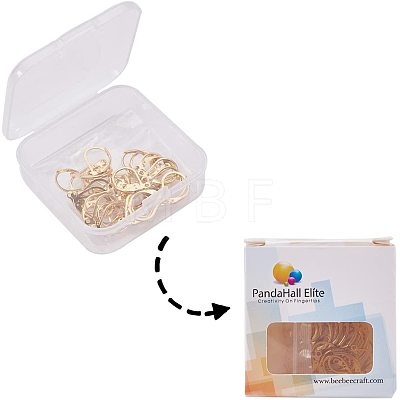 304 Stainless Steel Leverback Earring Findings STAS-PH0018-28G-1