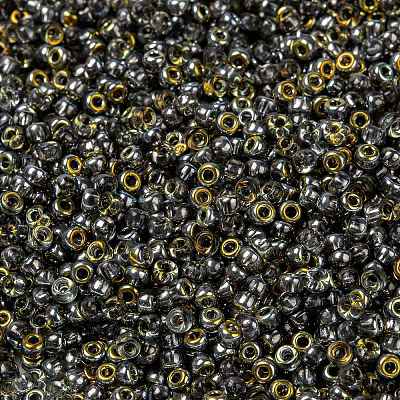 MIYUKI Round Rocailles Beads SEED-G008-RR4551-1