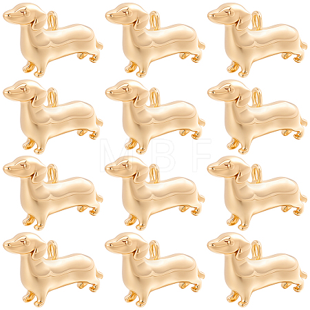 12Pcs Brass Charms KK-BBC0028-31-1