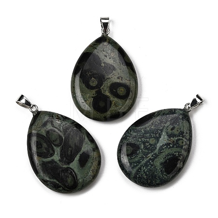 Natural Kambaba Jasper Pendants G-F820-14P-03-1