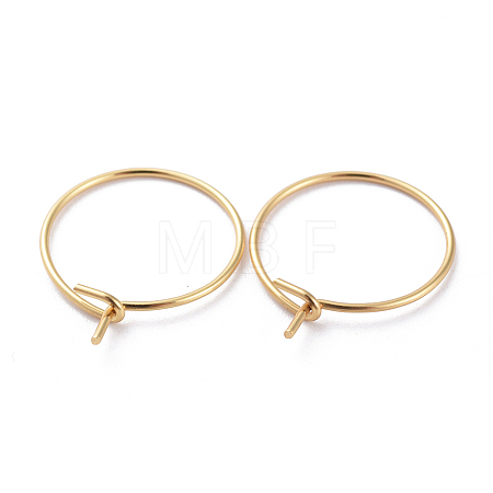 316 Surgical Stainless Steel Hoop Earring Findings X-STAS-J025-01B-G02-1