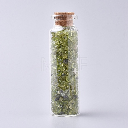 Glass Wishing Bottle DJEW-L013-A11-1