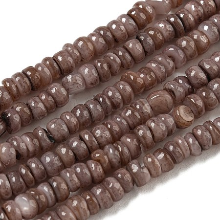 Dyed Natural Freshwater Shell Beads Strands BSHE-G039-07I-1