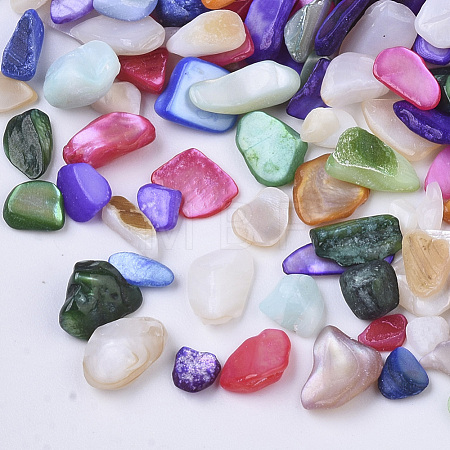 Natural Freshwater Shell Beads SHEL-N003-03-1