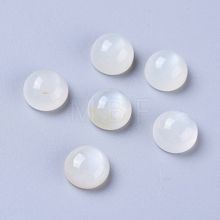Natural White Moonstone Cabochons G-L541-01C-8mm-1