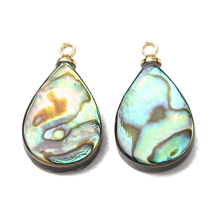 Natural Abalone Shell Pendants SH-CJC0AC7-01B-G-1