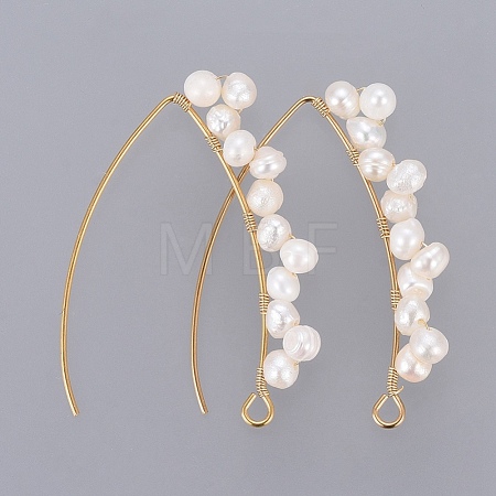 PVD Vacuum Plating 304 Stainless Steel Earring Hooks EJEW-JE03759-1