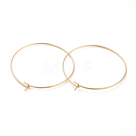 316 Surgical Stainless Steel Hoop Earring Findings LS-STAS-J025-01E-G-1