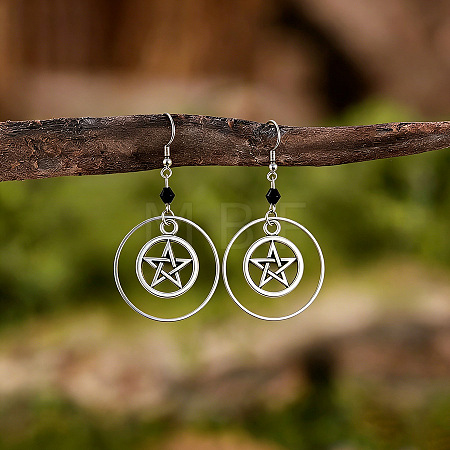 Zinc Alloy Dangle Earrings for Women WG27C39-01-1