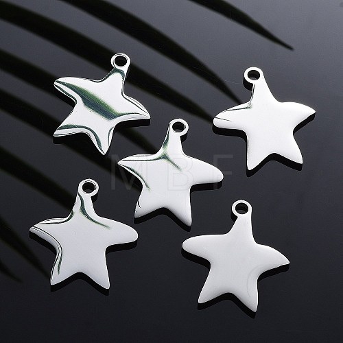 304 Stainless Steel Pendants STAS-I140-13S-1