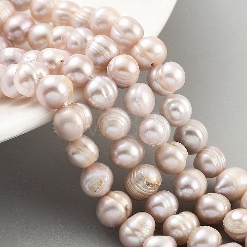 Natural Cultured Freshwater Pearl Beads Strands PEAR-C003-01D-1