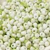 Baking Paint Glass Seed Beads X1-SEED-F006-01A-07-3