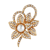 Zinc Alloy Rhinestone Brooches PW-WGD76CB-01-1