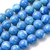 Natural Howlite Beads Strands G-H343-D06-12mm-B-2