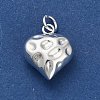925 Sterling Silver Pendants STER-P071-15S-2