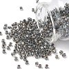 TOHO 6/0 Round Beads X-SEED-TR06-0266-1