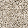 MIYUKI Delica Beads SEED-X0054-DB1451-3