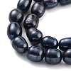 Dyed Natural Cultured Freshwater Pearl Beads Strands PEAR-P062-08C-4