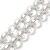 Transparent Electroplate Glass Bead Strands EGLA-P049-01A-AB01-2